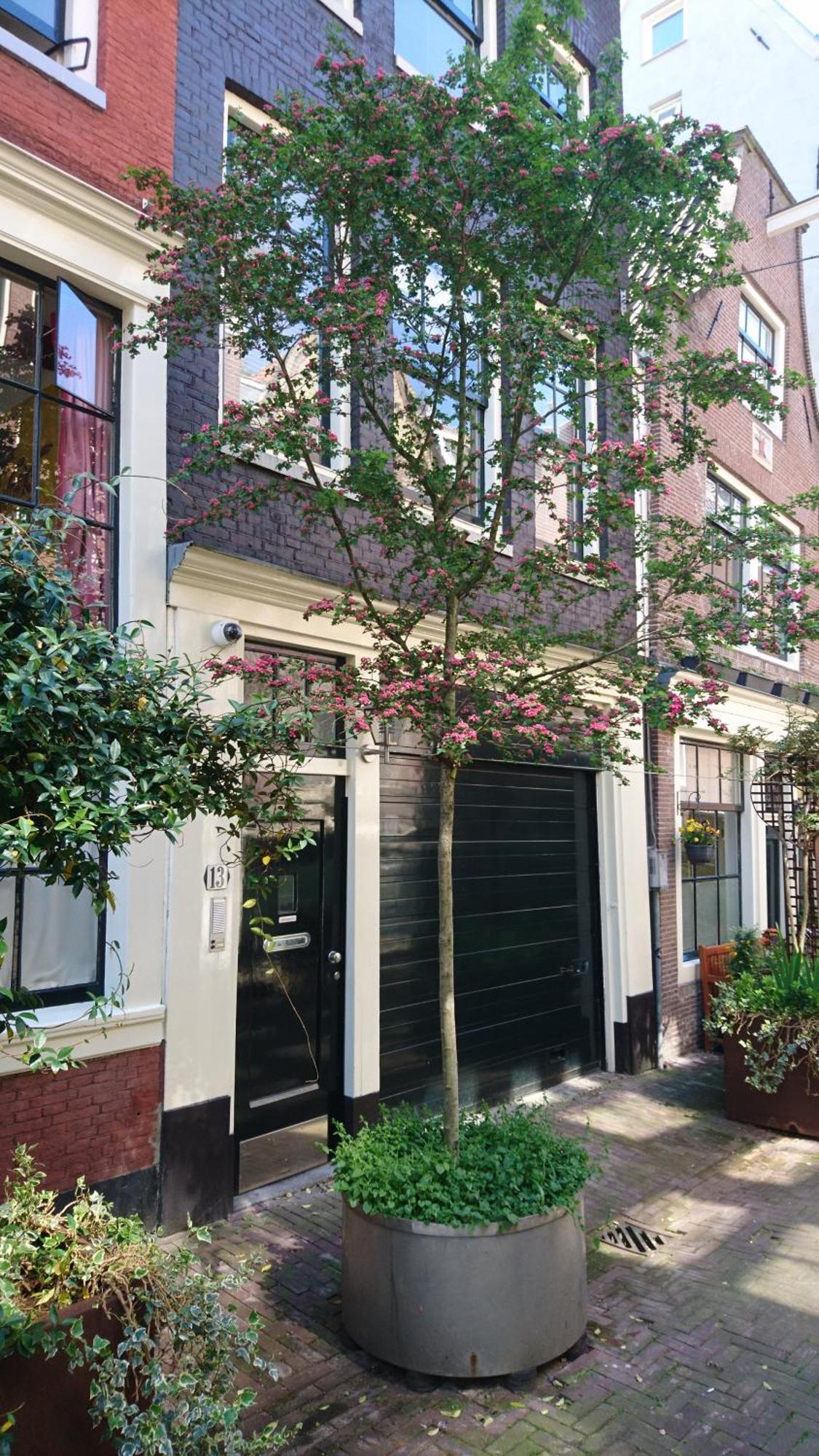 Huis Roomolen Amsterdam Exterior foto